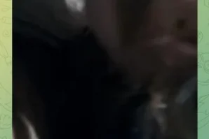Laylo moshinada yigitiga minet qilyapti